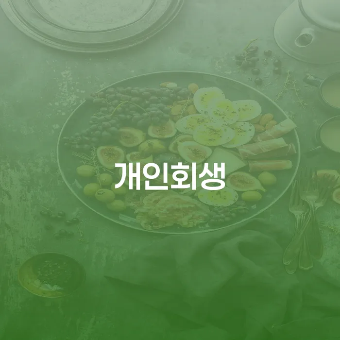 개인회생 대출 받은 돈채무조정 선택해야 하는