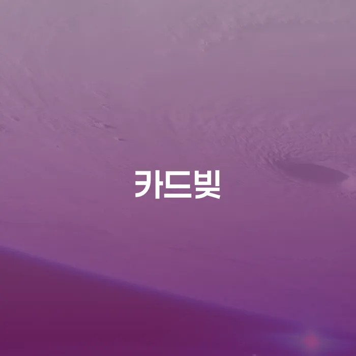 개인회생무료상담 개인회생,개인파산으로 진행방안
