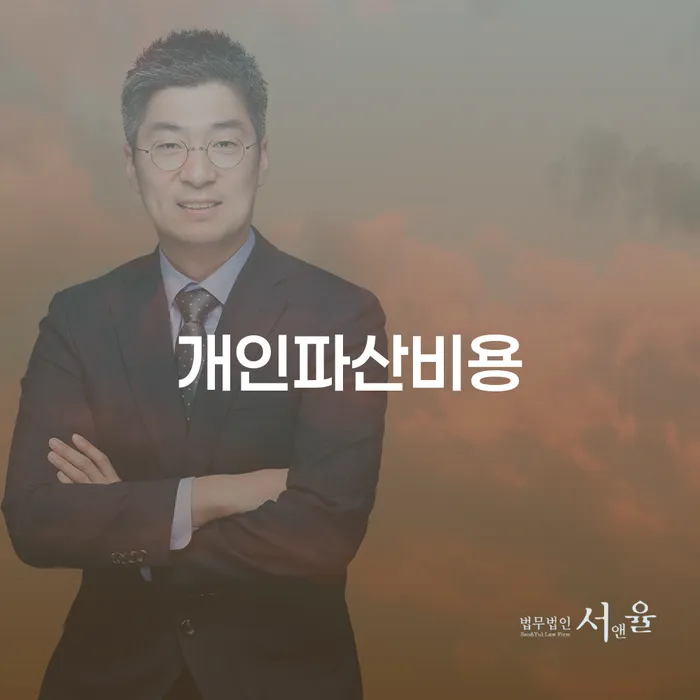 개인파산 채무조정제도을 이용하여 중요정보