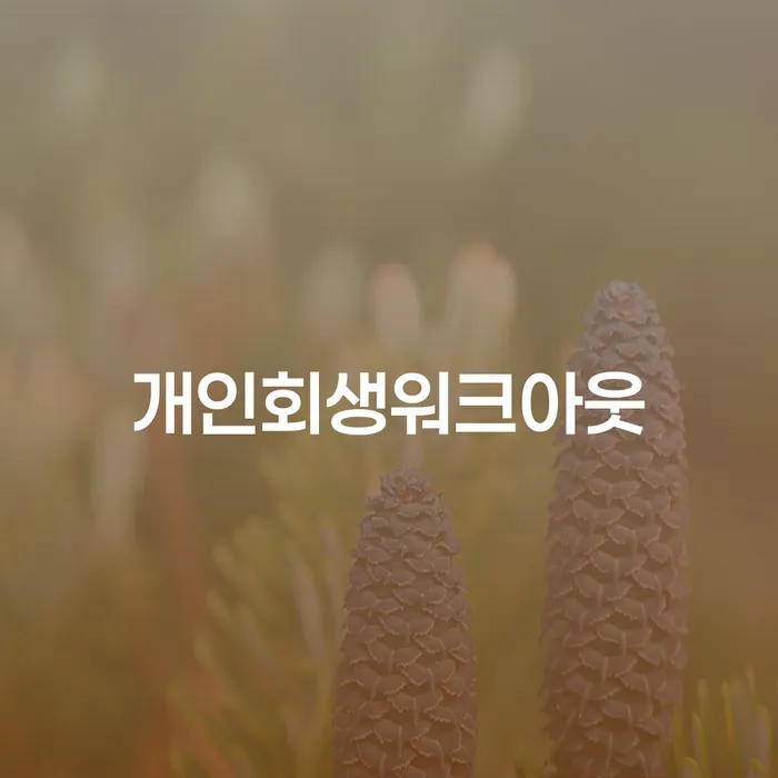 대한재무 개인회생 경험 많은 곳에서