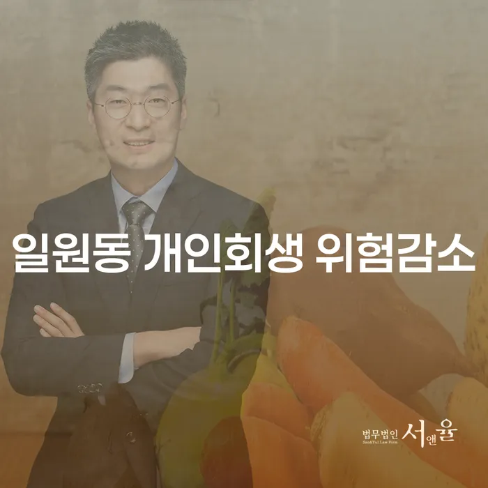 일원동 개인회생 위험감소
