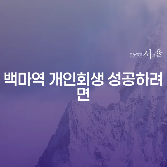 백마역 개인회생 성공하려면