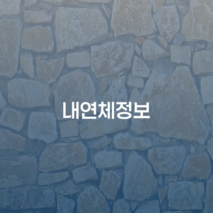 내연체정보와 신용점수를 효과적으로 관리하려면?