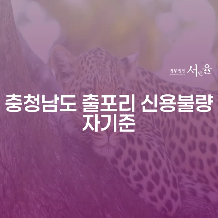 충청남도 출포리에서 신용불량자라면 개인회생을 고려해야 할까요?