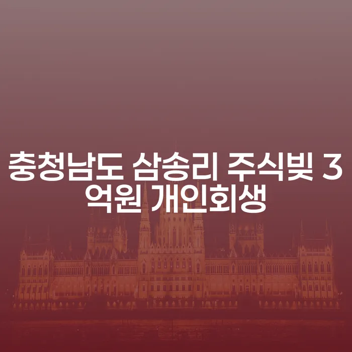 충청남도 삼송리에서 주식빚 3억원, 개인회생과 개인회생사기의 차이를 아시나요?