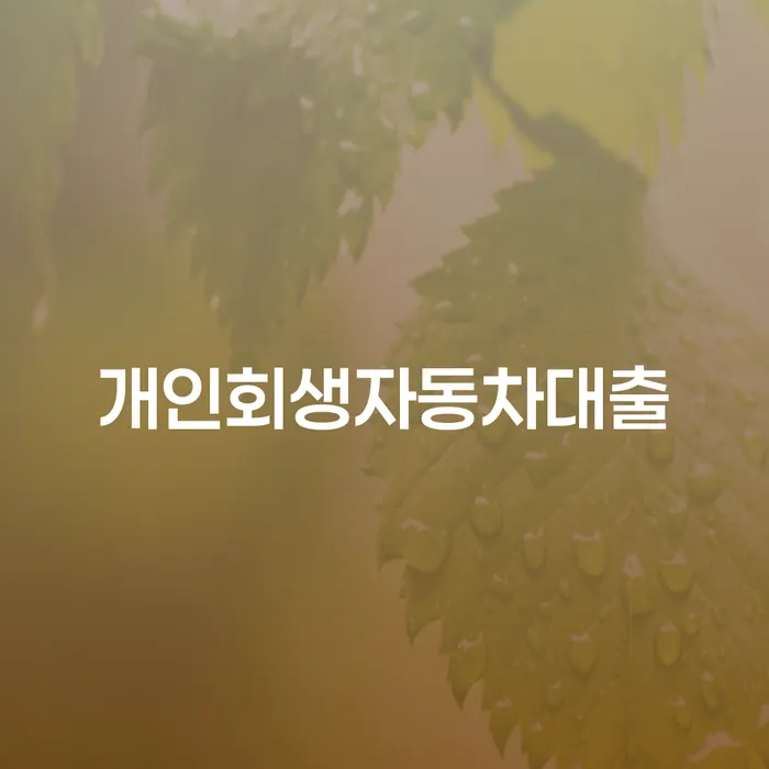 개인회생자동차대출, 어떻게 해결할 수 있을까요?