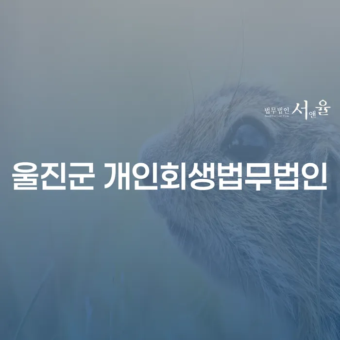 울진군과 여주시에서 개인회생을 고려해야 하는 이유는 무엇일까요?