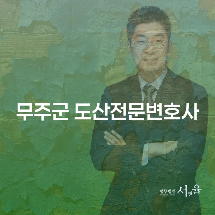 무주군 도산전문변호사와 함께하는 개인회생과 파산의 길, 대법원 개인회생 조회는 어떻게?